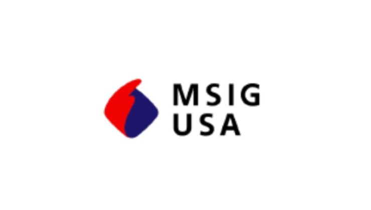 MSIG USA, David Petrone’yi Kuzeydoğu Bölgesi Dağıtım Lideri Olarak Atadı
