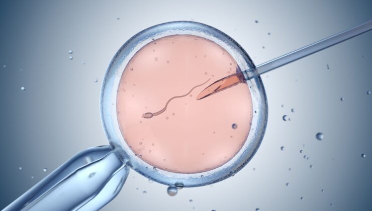 Revolutionary Genetic Analysis for Embryo Health and Traits Raises Ethical Concerns