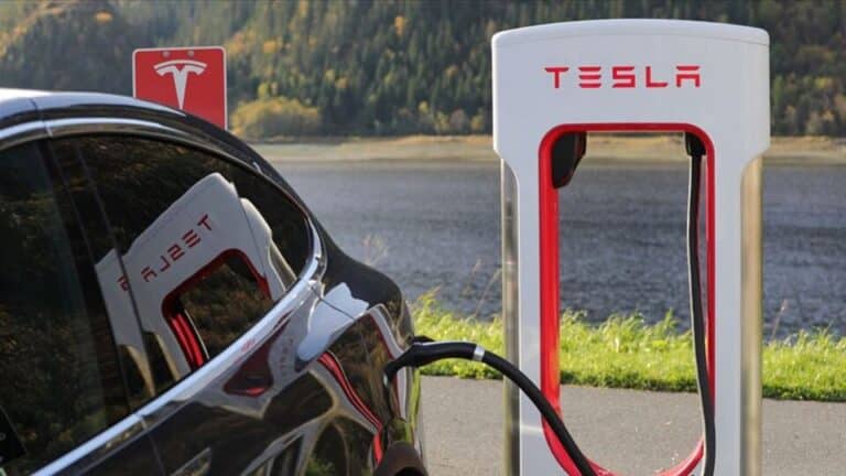 Tesla Shares Plunge Amid Tensions Between Elon Musk and Donald Trump
