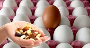 Discover the satiating power of nuts in your diet. Explore