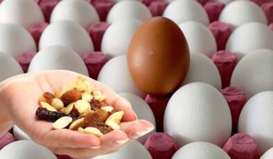 The Nutritional Powerhouse: Nuts That Keep You Satiated
