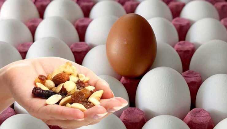 The Nutritional Powerhouse: Nuts That Keep You Satiated