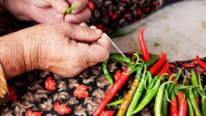 Explore how bitter foods aid weight loss, backed by recent