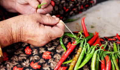 The Role of Bitter Foods in Weight Loss: Insights from Recent Studies