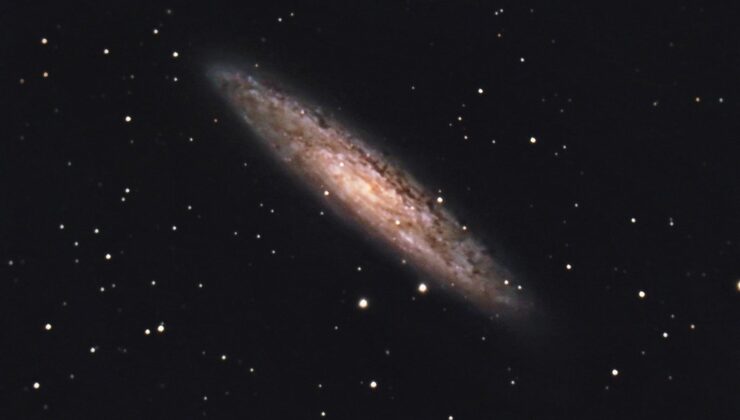 The Vibrant Tapestry of NGC 253: A Cosmic Mosaic