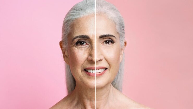 Understanding Aging and Longevity: From Cellular Mechanisms to Practical Steps