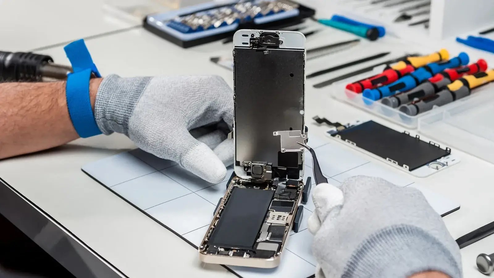 The Importance of Distributor Warranty in Electronics