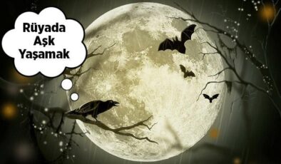 Understanding Dreams of Love: Interpretations and Meanings