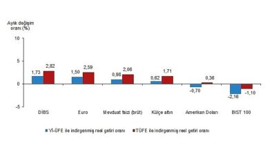 Finansal Araçlarda Aylık ve Yıllık Reel Getiri Değerlendirmesi