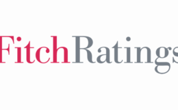 Fitch Ratings: Türk Hayat Dışı Sigorta Sektöründe İyileşmeler ve Beklentiler