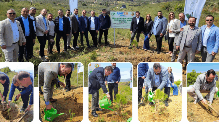 Unico Sigorta ve Acenteleri Hatıra Ormanı Projesi