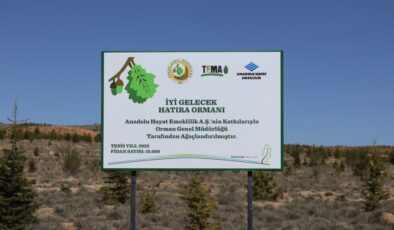 Anadolu Hayat Emeklilik’s Commitment to a Sustainable Future: The Memorial Forest Initiative