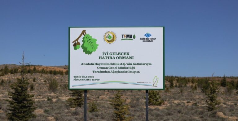 Anadolu Hayat Emeklilik’s Commitment to a Sustainable Future: The Memorial Forest Initiative