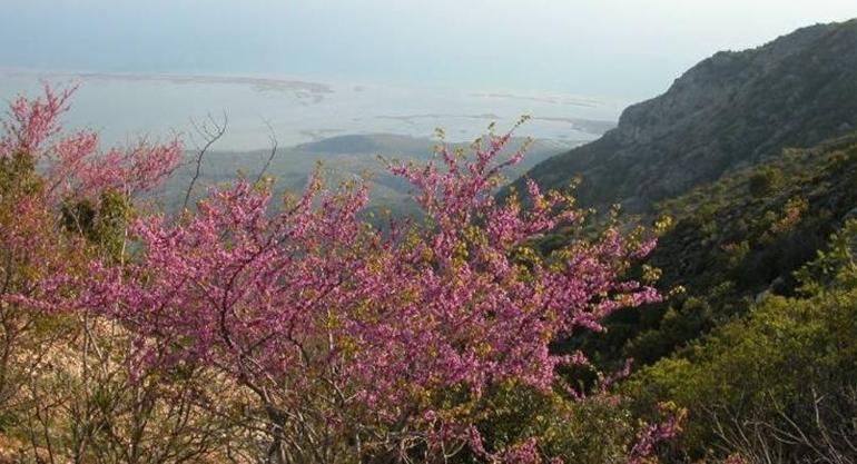 Milli Park'a Ulaşım