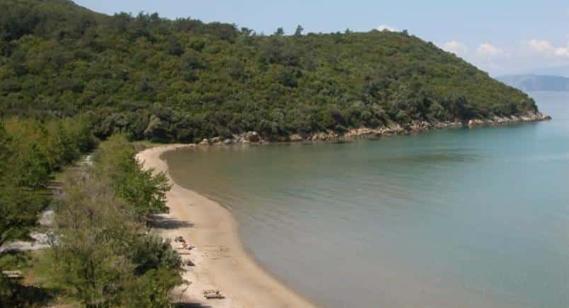 Dilek Yarımadası Büyük Menderes Deltası Milli Parkı Nerede? Nasıl Gidilir? Ziyaret Rehberi ve Giriş Bilgileri