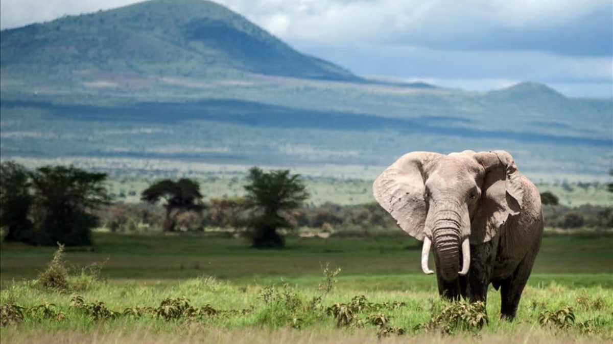 2050’ye Kadar Yok Olma Tehlikesi Altındaki Kültürel ve Doğal Miraslar