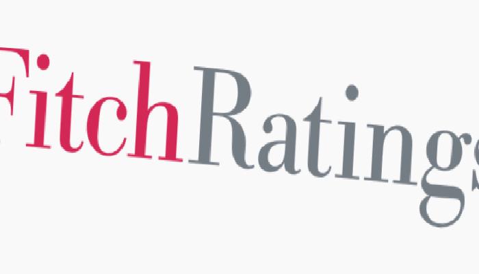 Fitch Ratings: Küresel Reasürans Şirketlerinde Güçlü Sermaye ve Sağlam Karlılık Sinyalleri