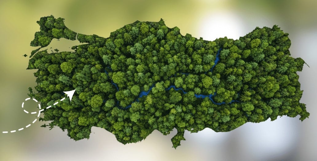 Fidan Sahiplenme Süreci