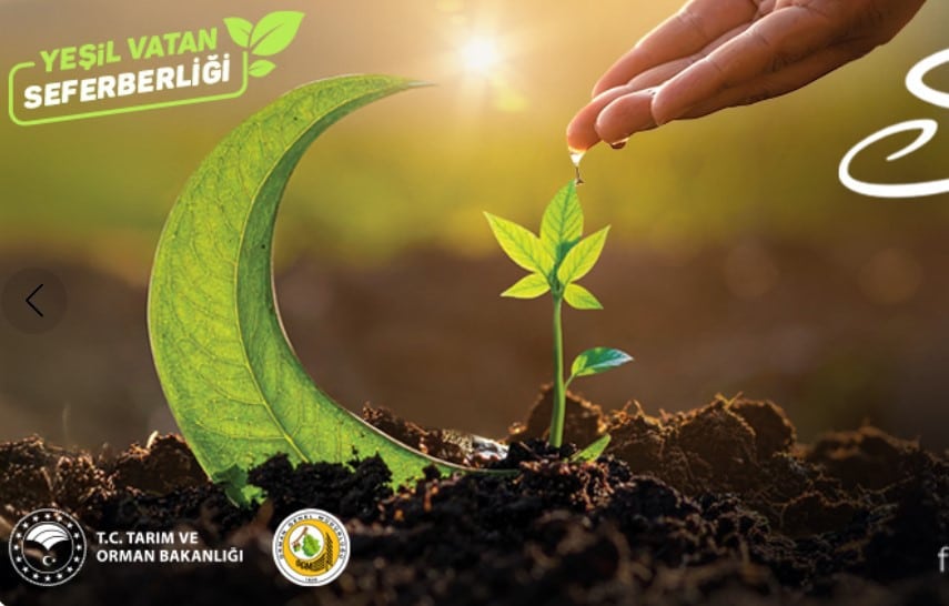 Geleceğe Nefes Projesi ve Fidan Sahiplenme Rehberi