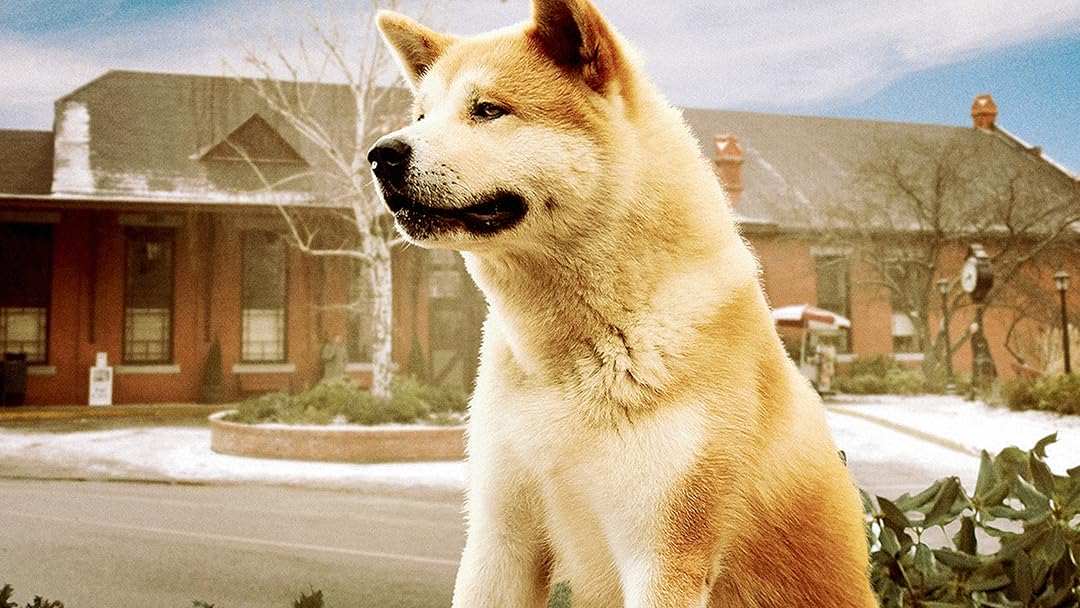 Hachi: Bir Köpeğin Hikayesi – Konusu, Oyuncuları ve IMDb Puanı