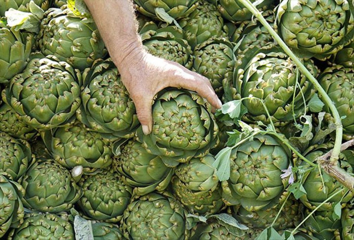 Kışın Beslenmenizi Zenginleştiren 7 Harika Sebze