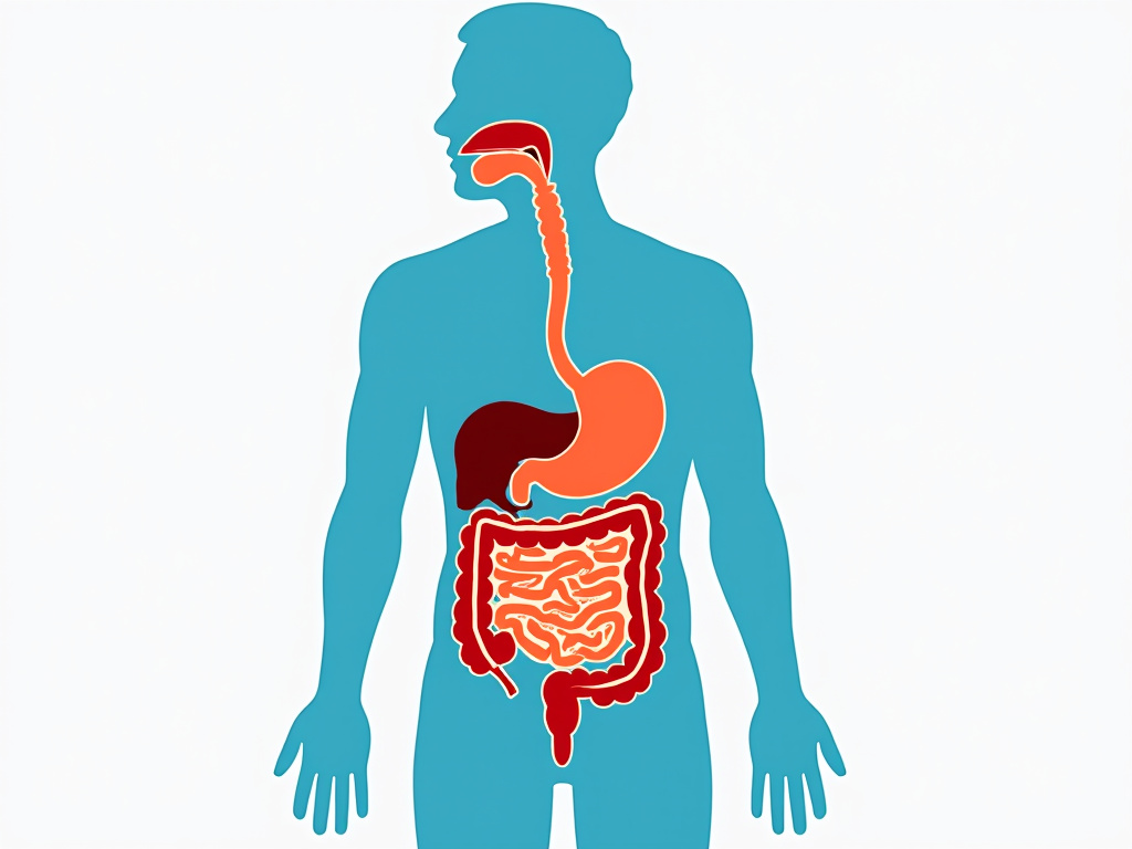 Kolon (Bağırsak) Kanseri Belirtileri Nelerdir? Neden Olur?