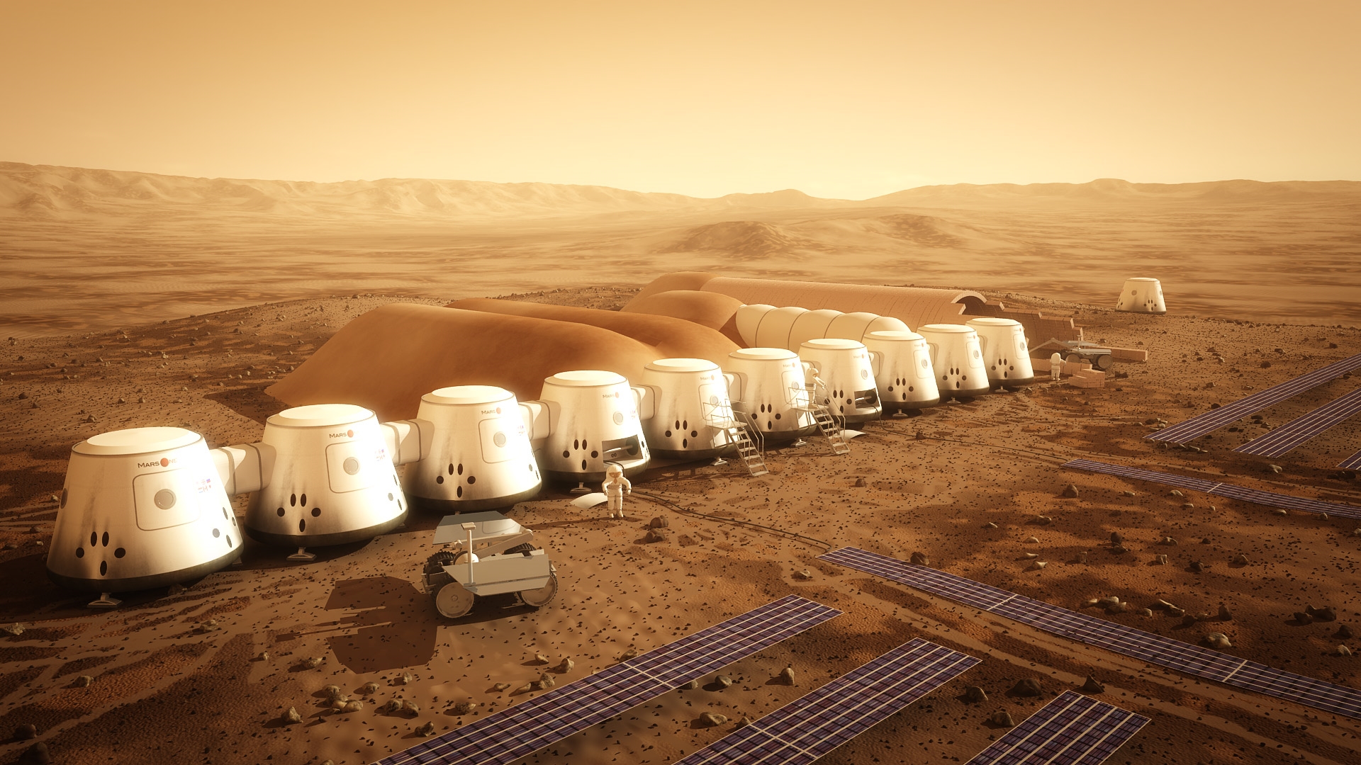 Genetic and Cellular Reactions to Space