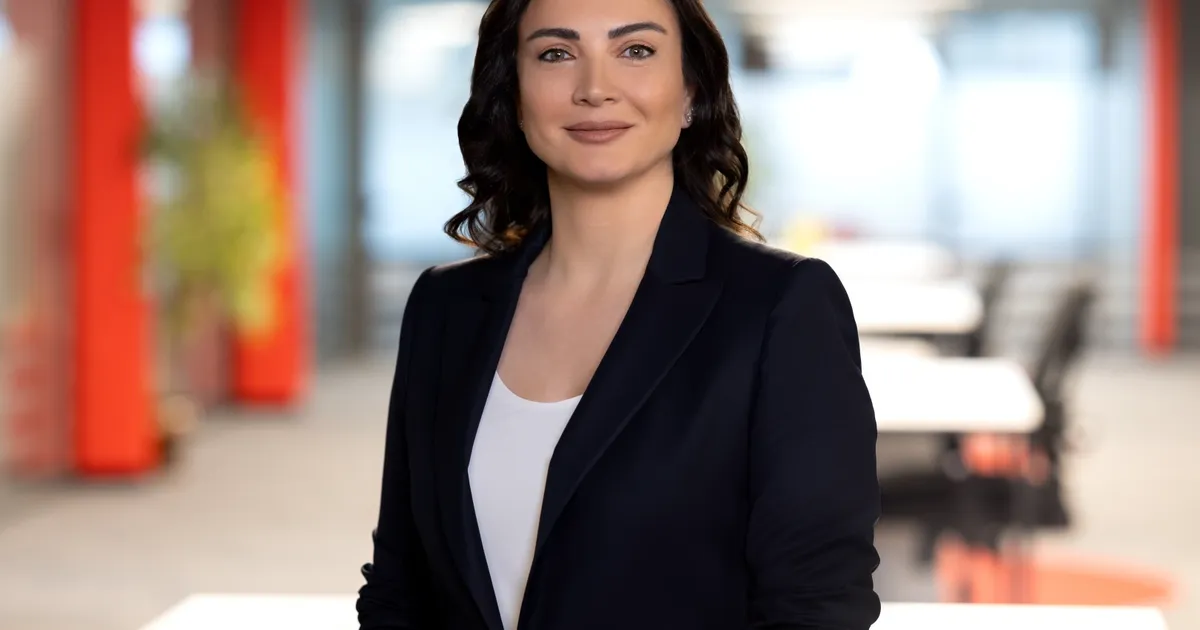 Ticari Kredi Kartı İşlemlerinde Logo Yazılım ve Visa İş Birliğinin Gücü