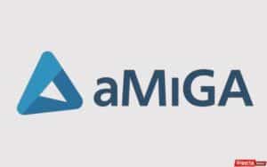 Amiga Specialty, Accelerant ortaklığıyla küresel kapasitesini artırarak sigorta sektöründe büyüme