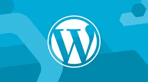 WordPress Hataları ve Çözümleri: En Yaygın Sorunlar ve Kolay Çözümler
