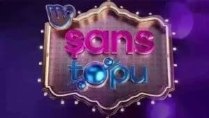 17 Aralık Şans Topu sonuçları sorgulama ekranı Milli Piyango Online