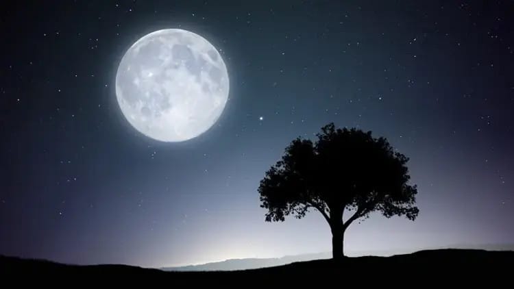 2025 Yılının En Uzun Gecesi: Kış Gündönümü ve Günlerin Uzamaya Başlama Tarihi