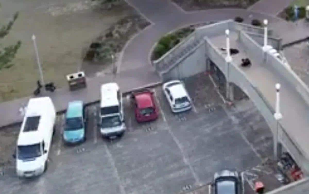 Bondi Plajı'nda Korkunç Saldırı