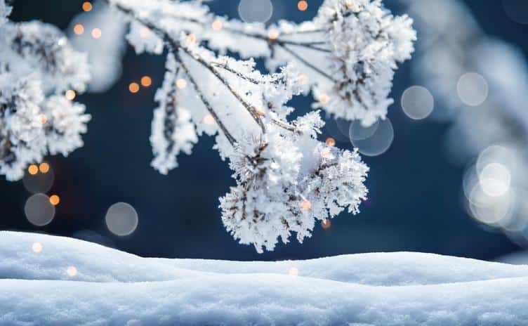 21 Aralık’tan Sonra Günler Uzamaya Başlayacak