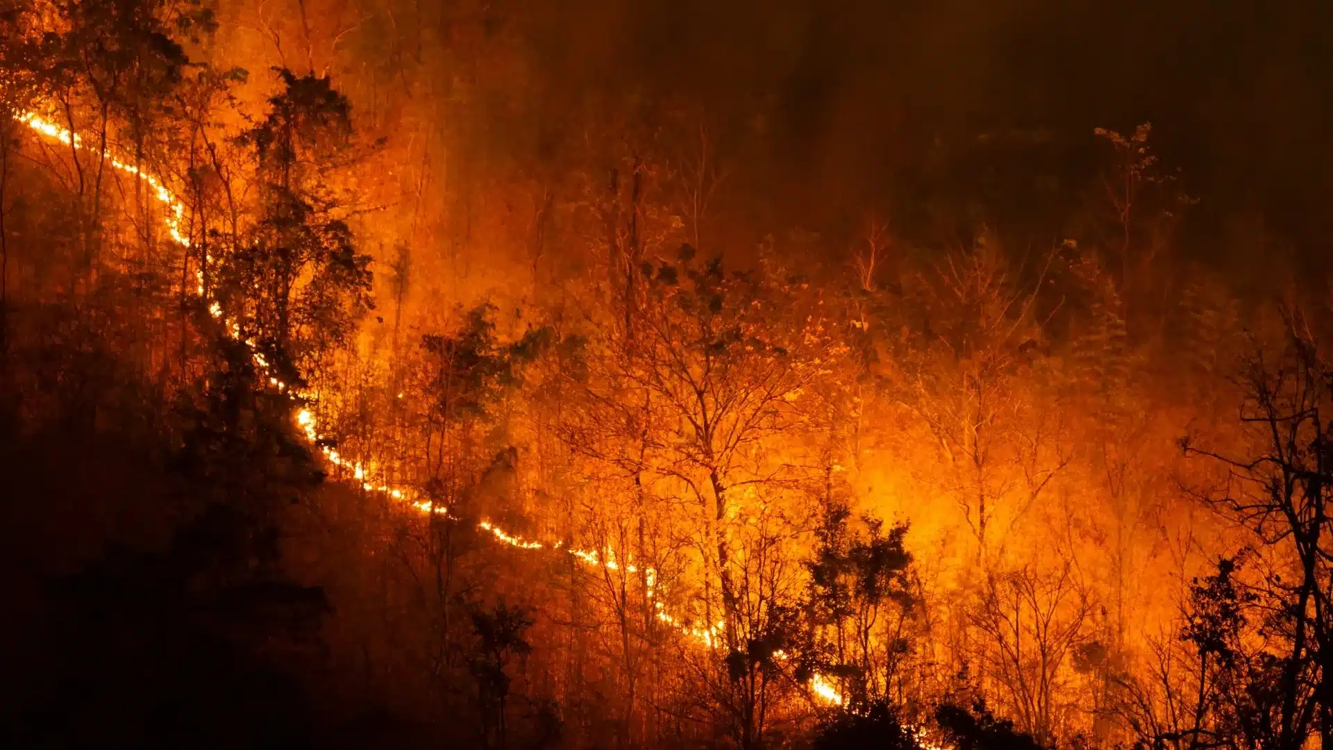 ABD Sigorta Sistemi Kırılma Noktasında: Aşırı Hava Olayları Sigorta Sektörü’nü Çıkmaza Sürüklüyor