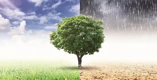 Asya-Pasifik’te Sigorta Açığı Yüzde 80’in Üzerinde: Bölge Hava Olaylarına Karşı Savunmasız