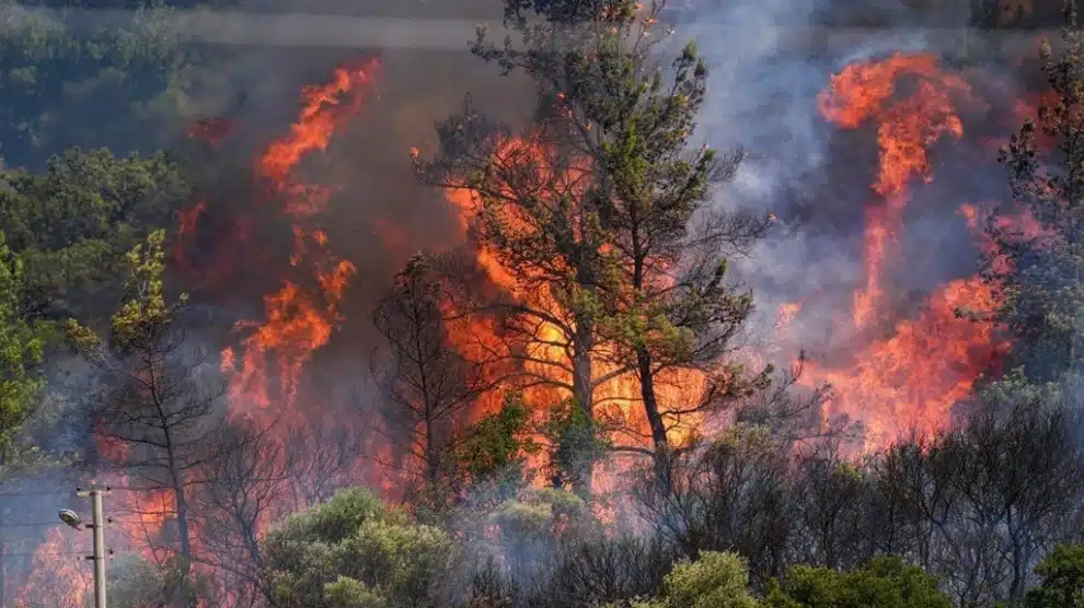 Avustralya’da Çifte Felaket: Yangınlar “Sigorta Felaketi” Kategorisine Alındı