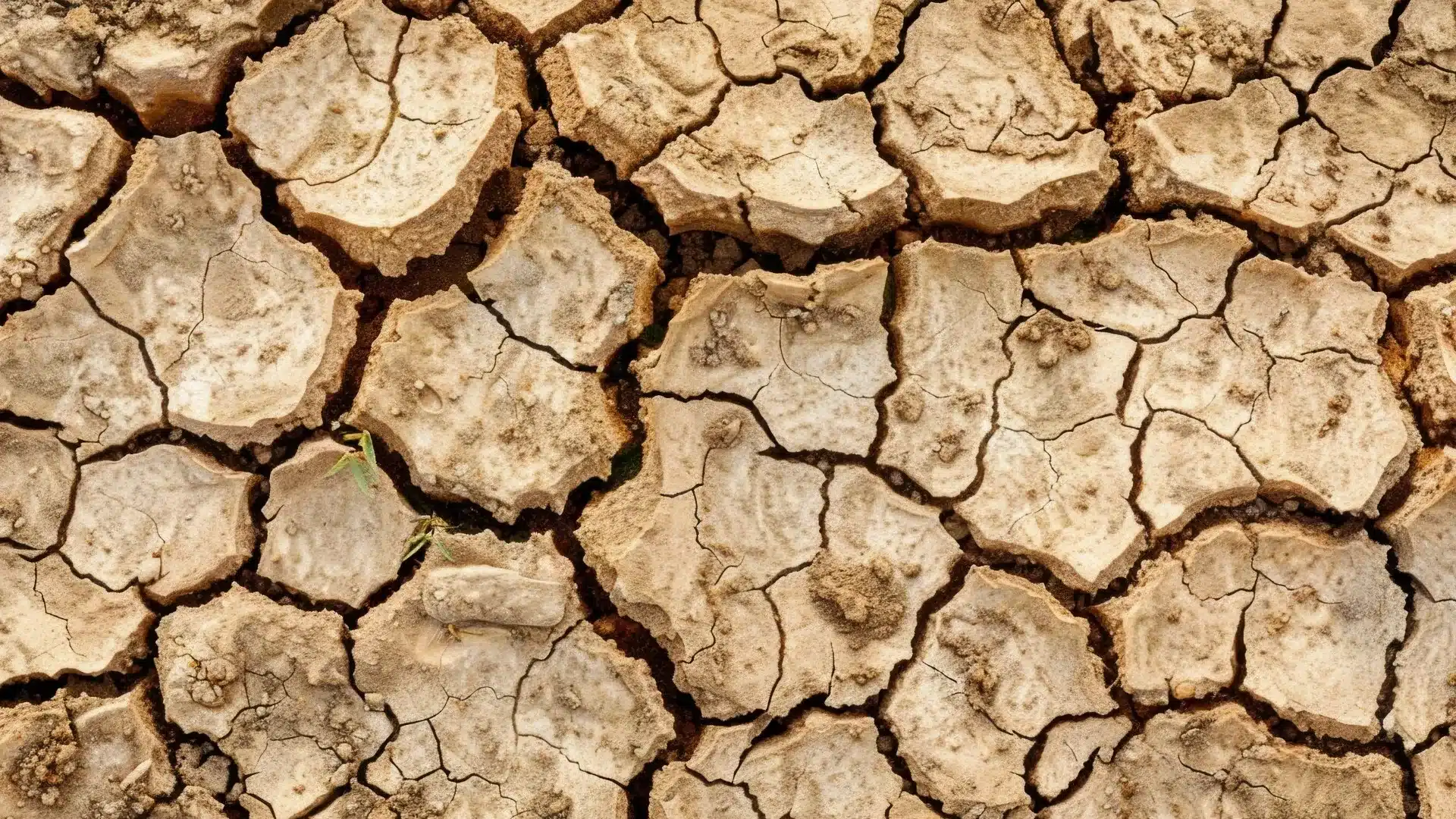 İklim Kaynaklı Hasarların Maliyeti Tüketiciye Yükleniyor