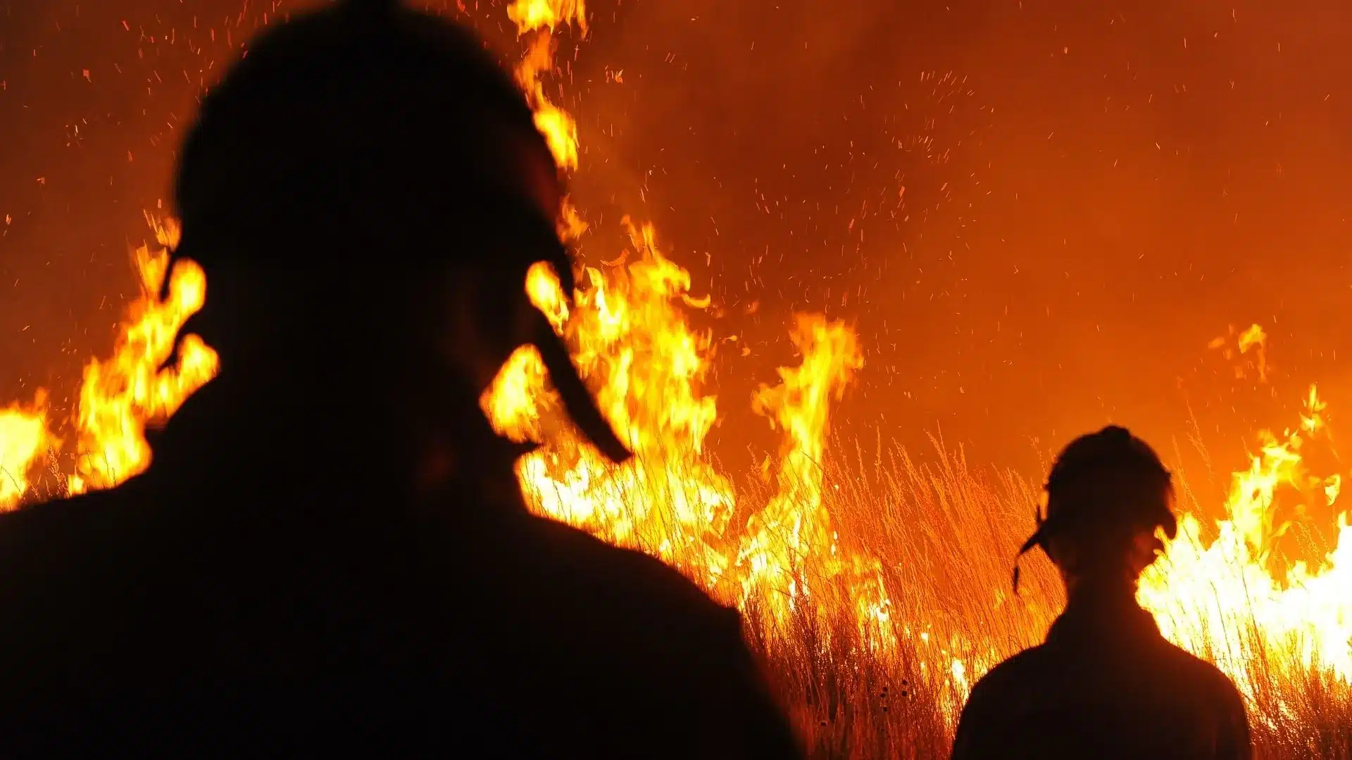 Nevada’da Sigorta Şirketlerine Konut Poliçelerinden Orman Yangını Kapsamını Çıkarma Hakkı Tanındı