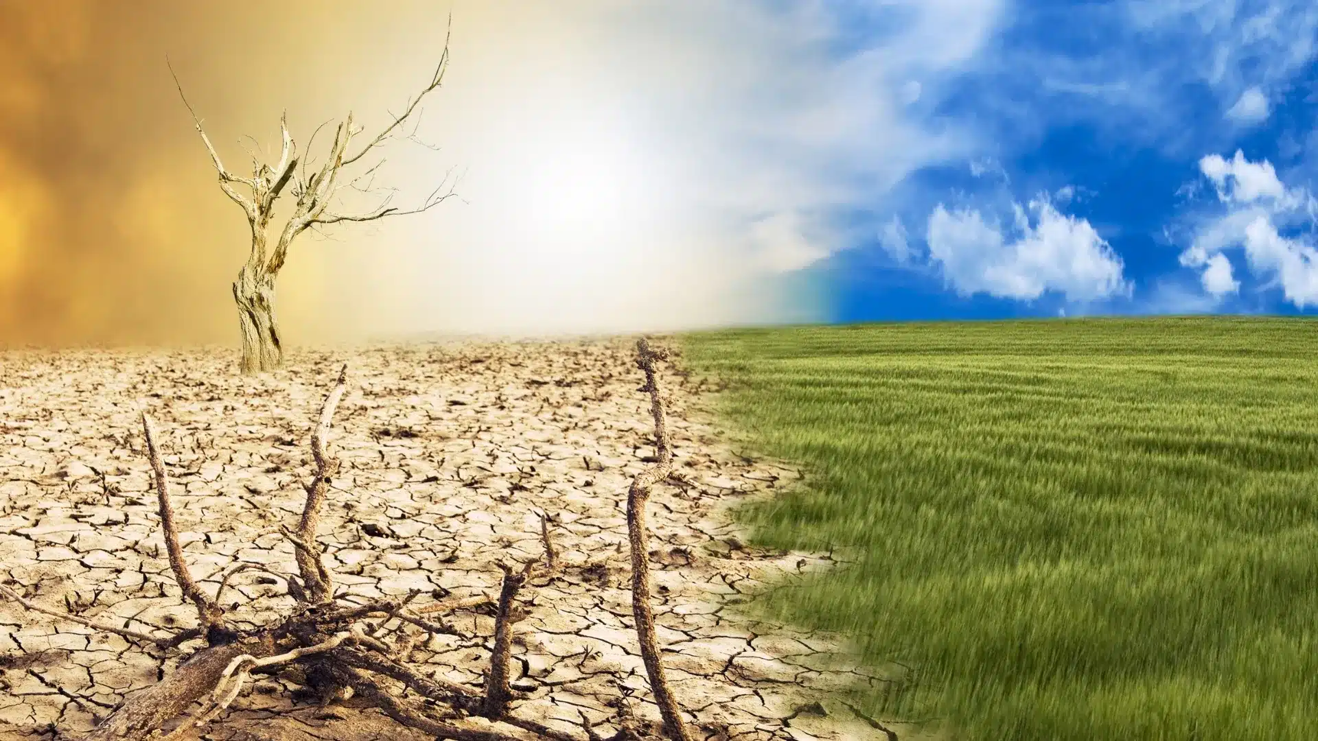 Stockholm Çevre Enstitüsü (SEI) tarafından yayımlanan “İklim Stresi Altında Sigorta