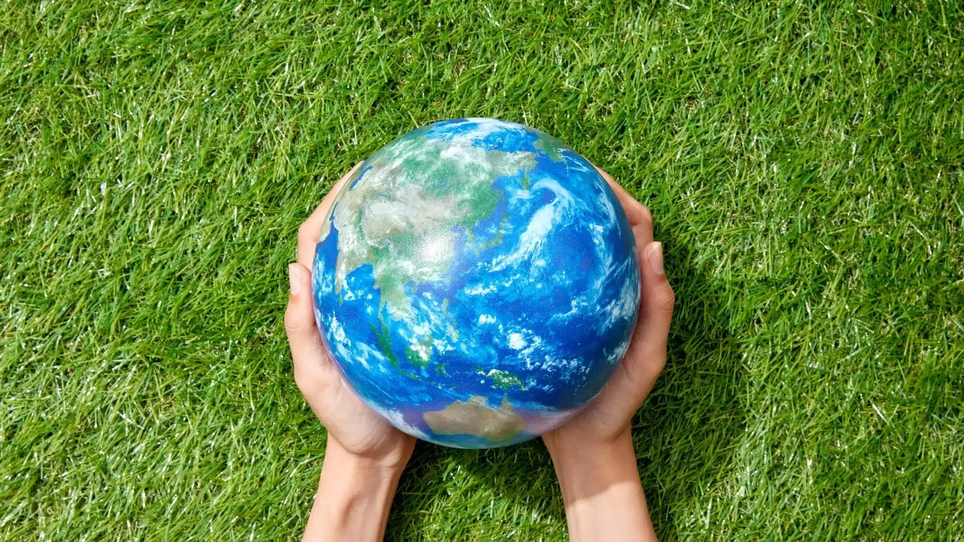 SCOR ve AXA, Yeşil Yatırımları Desteklemek Üzere Lloyd’s Çatısı Altında Ekolojik Restorasyon Sigortası İçin Güçlerini Birleştirdi