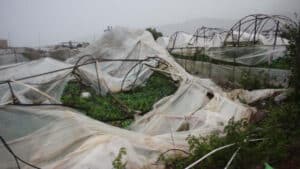 Antalya’da meydana gelen hortum tarım alanlarına zarar verdi. Bakan Yumaklı,