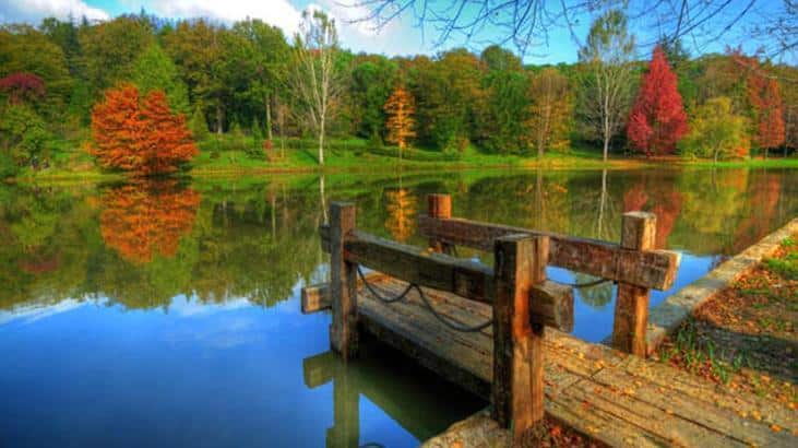 Atatürk Arboretumu Nerede ve Nasıl Gidilir?