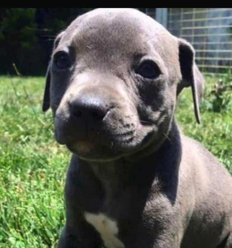 Celil Nalçakan'dan Acı Paylaşım