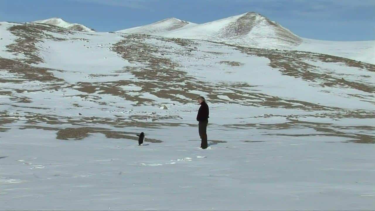 Nihilist penguen olayı