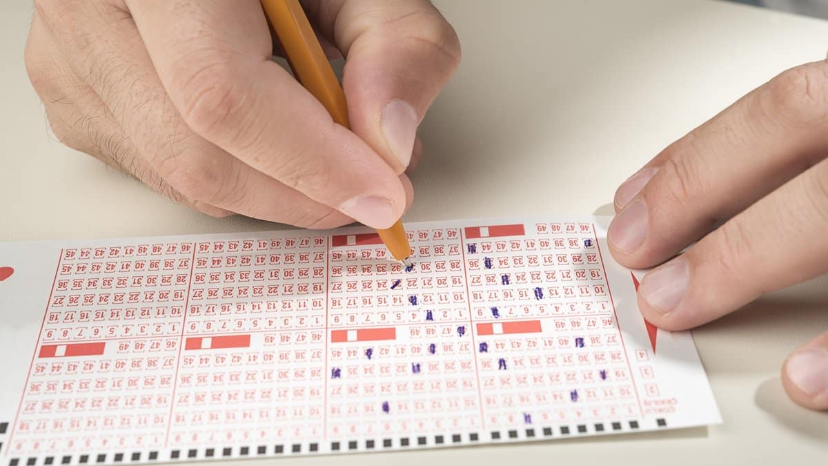 Süper Loto Sonuçları 27 Ocak 2026: Büyük İkramiye Kazananı Açıklandı mı?