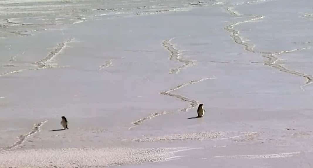 Yeniden Yorumlanan Bir Anlam