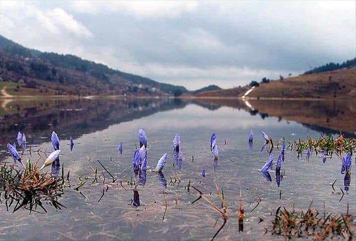 Üçüncü Cemre ve Sıralama