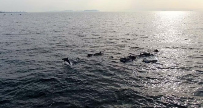 2026 yılında cemrelerin ne zaman düşeceğini ve sıralamasını öğrenin. İlk,