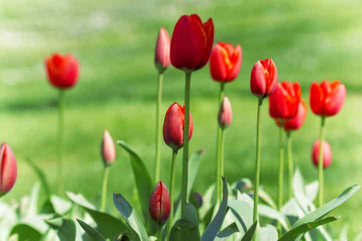 Kanun Teklifi Meclis’te